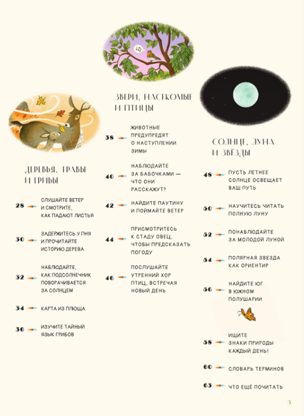 Изображение товара Энциклопедия АСТ Секреты природы, твердая обложка (Коудилл Крейг)