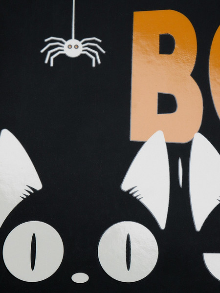 Изображение товара Альбом для рисования Проф-Пресс Летучие мыши и пауки / 48-5394