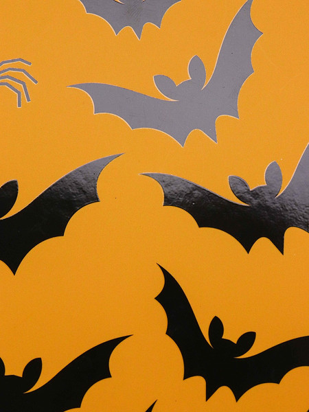 Изображение товара Альбом для рисования Проф-Пресс Летучие мыши и пауки / 48-5394