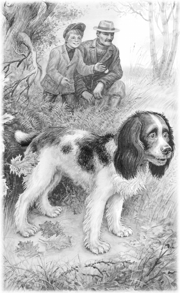 Изображение товара Книга АСТ Сказки и рассказы о животных, твердая обложка (Бианки Виталий, Пришвин Михаил, Ушинский Константин и др.)