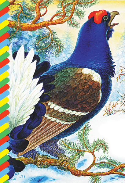 Изображение товара Развивающая книга АСТ Сказки о животных, мягкая обложка (Бианки Виталий)