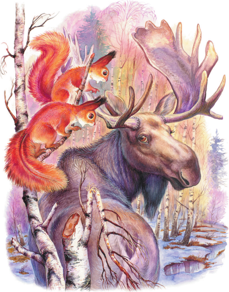 Изображение товара Книга АСТ Сказки о зверятах, мягкая обложка  (Шим Эдуард)