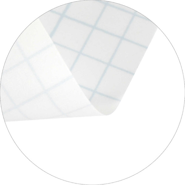 Изображение товара Бювар Феникс+ Глобус / 69108