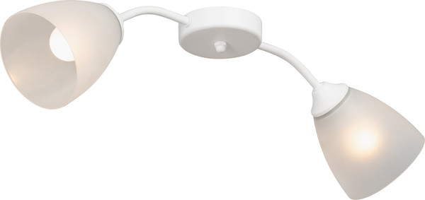 Изображение товара Потолочный светильник Vitaluce V3750/2PL