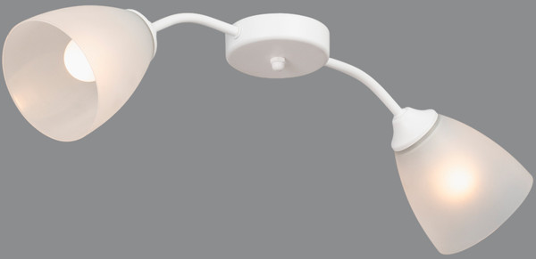 Изображение товара Потолочный светильник Vitaluce V3750/2PL