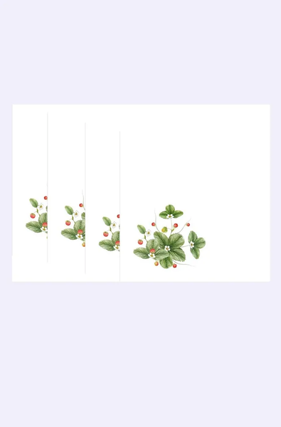 Изображение товара Набор сервировочных салфеток Listelle Set-4 Земляничная поляна 617501