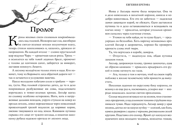 Изображение товара Книга FreeDom Проклятая княжна, твердая обложка (Кретова Евгения)