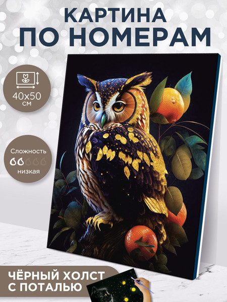 Изображение товара Картина по номерам Флюид Сова Арт 40x50 / MB0007