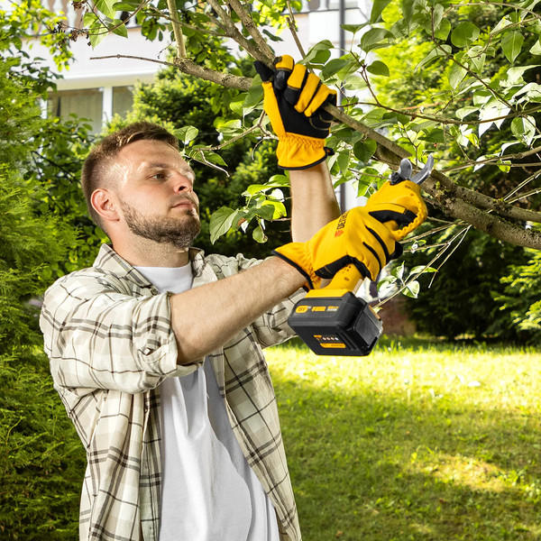 Изображение товара Секатор аккумуляторный Denzel CP-30-0 / 59436