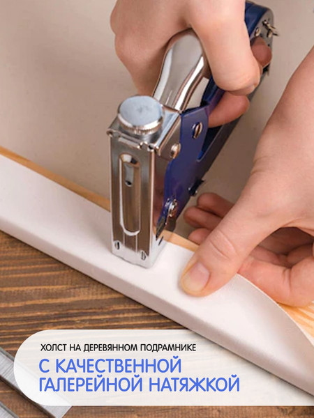 Изображение товара Картина по номерам Молли Бузин. Ромашковое настроение 40x50 / HR0741