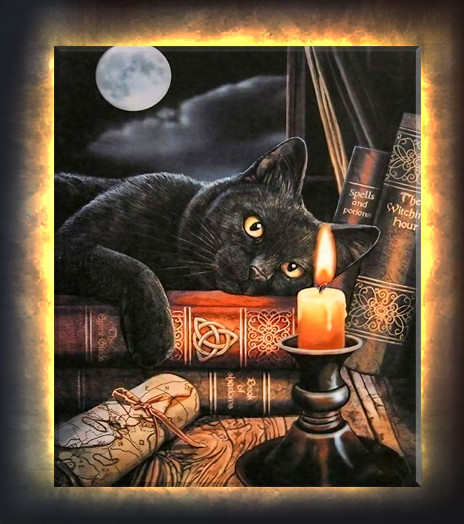 Изображение товара Картина по номерам Молли Час магии 40x50 / LHR0031