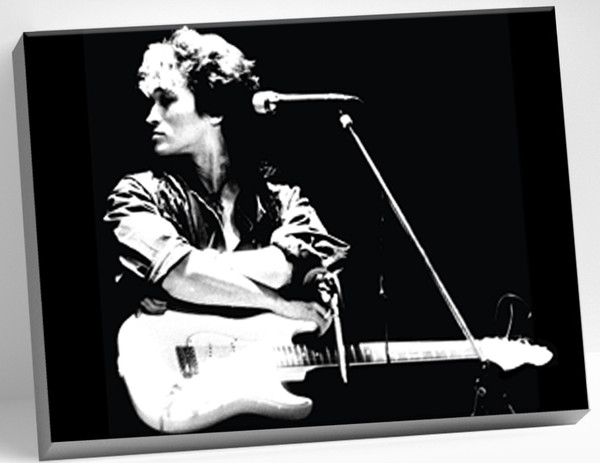 Изображение товара Картина по номерам Молли Виктор Цой 40x50 / HR0255