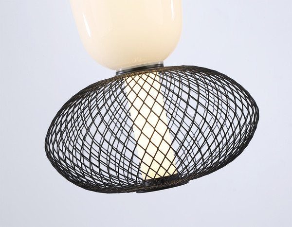 Изображение товара Потолочный светильник Ambrella LH11007 BK/FR (черный/белый матовый)