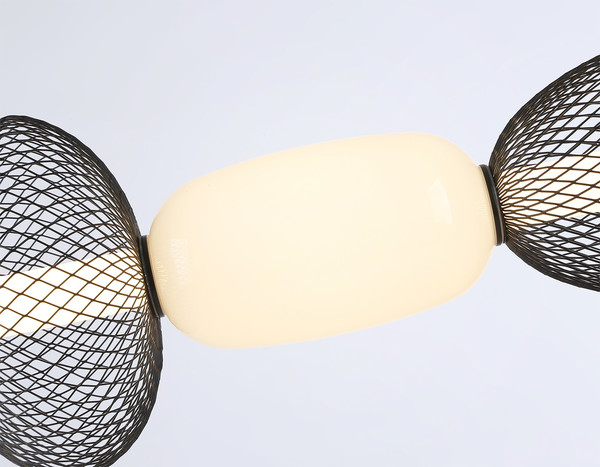 Изображение товара Потолочный светильник Ambrella LH11010 BK/FR (черный/белый матовый)