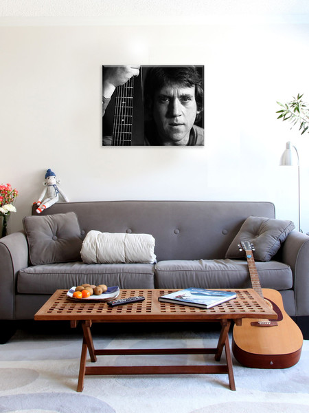 Изображение товара Картина по номерам Молли Владимир Высоцкий 40x50 / HR0416