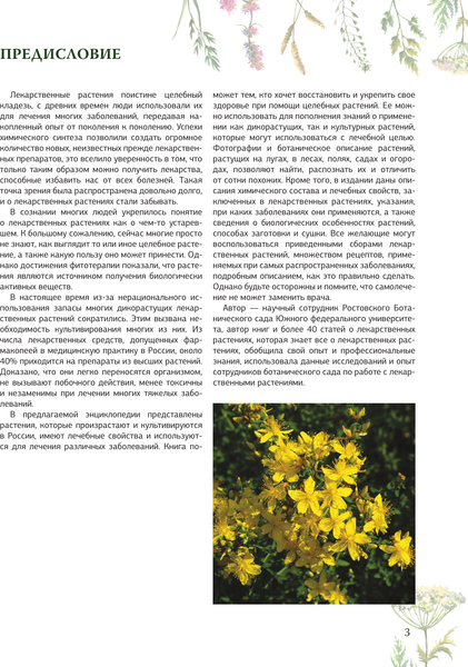 Изображение товара Энциклопедия АСТ Травник. Большая энциклопедия лекарственных растений (Анищенко Людмила, твердая обложка)