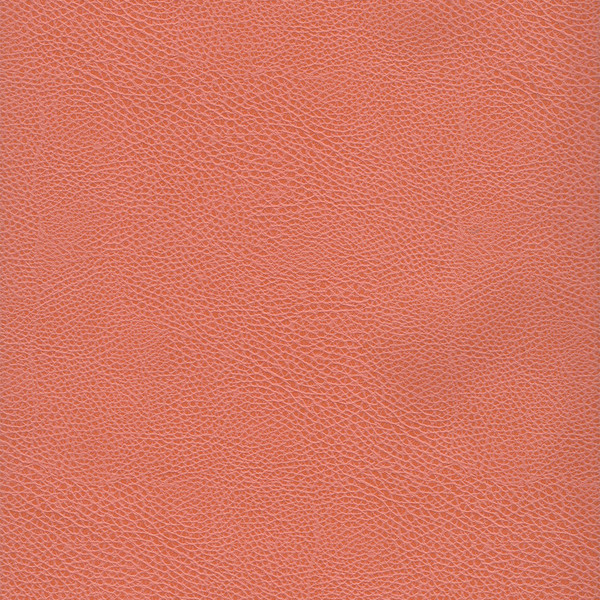 Изображение товара Кресло парикмахерское Элеганс Одри (коралловый №77)