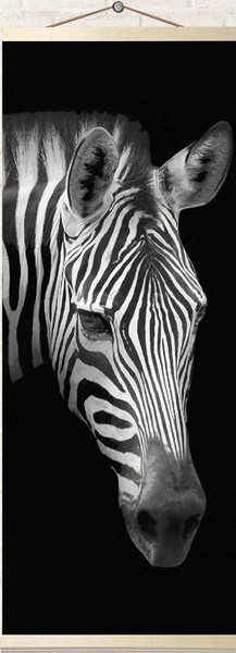 Изображение товара Картина по номерам Молли Зебра на черным фоне 35x88 / HRP0023
