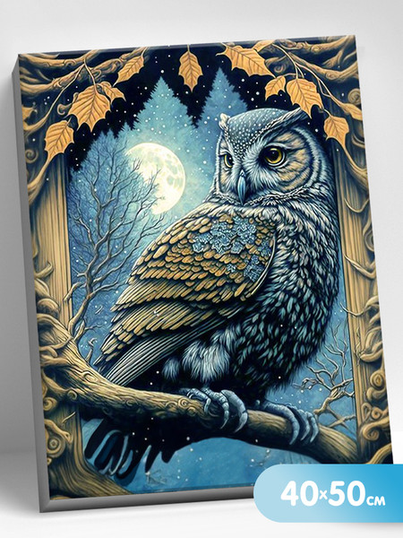 Изображение товара Картина по номерам Молли Ночная сова 40x50 / HR0652