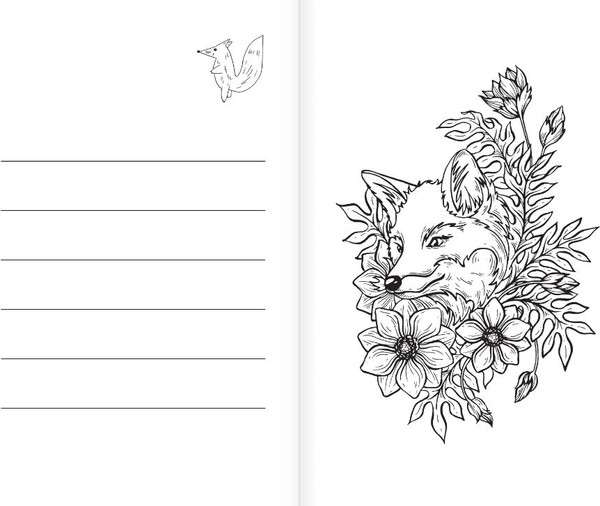 Изображение товара Раскраска АСТ Хитрые лисята. Открытка-раскраска, мягкая обложка