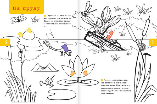 Изображение товара Раскраска АСТ Цветы, жуки и бабочки, мягкая обложка