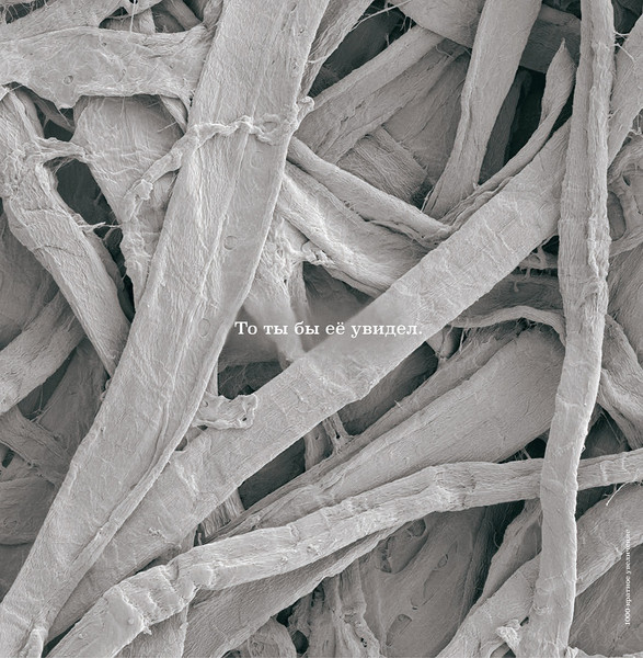 Изображение товара Развивающая книга Попурри Не лижи эту книжку, твердая обложка (Бен-Барак Айдан, Фрост Джулиан)