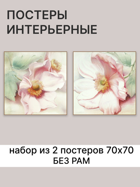 Изображение товара Постеры Декарт 8П0022