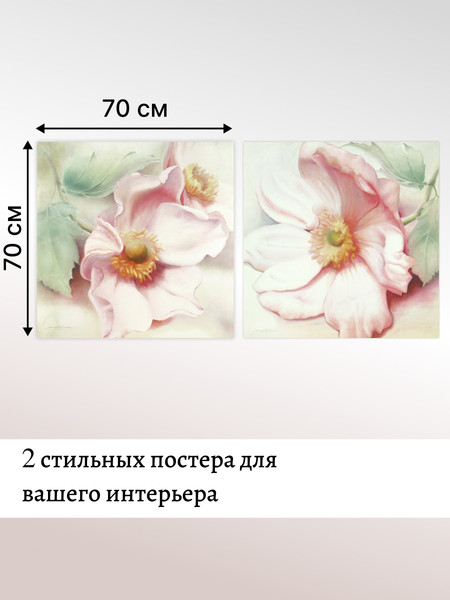 Изображение товара Постеры Декарт 8П0022