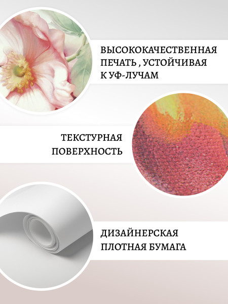 Изображение товара Постеры Декарт 8П0022