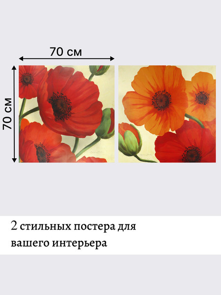 Изображение товара Постеры Декарт 8П0023