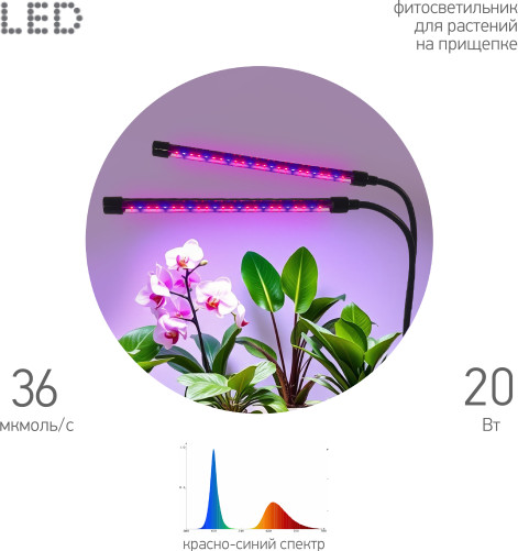 Изображение товара Светильник для растений ЭРА FITO-20W-АLED-RB / Б0068275