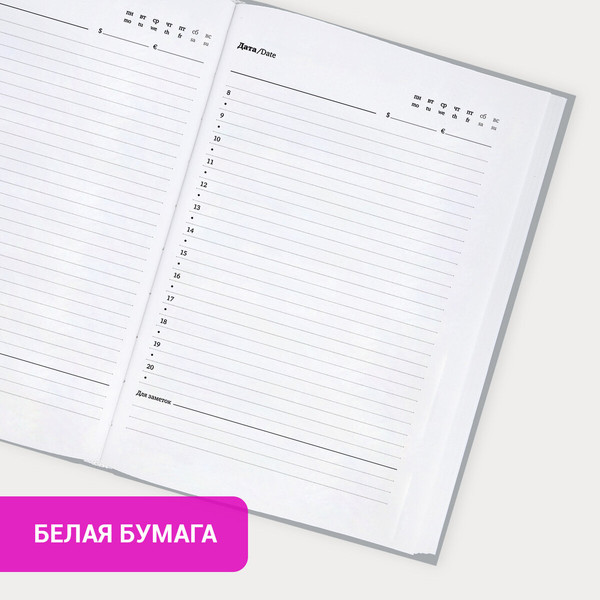 Изображение товара Ежедневник Brauberg Minimal / 116302 (160л, серый)