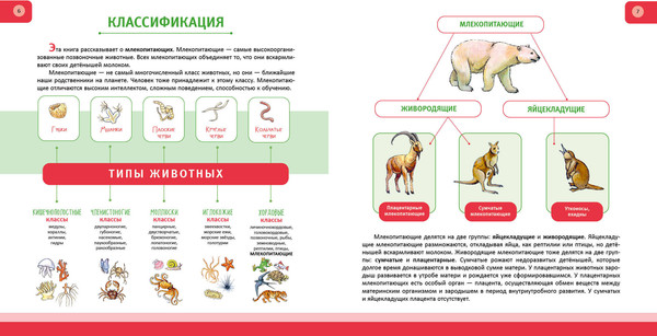 Изображение товара Энциклопедия Эксмо Животные. Полная энциклопедия, твердая обложка (Школьник Юлия)