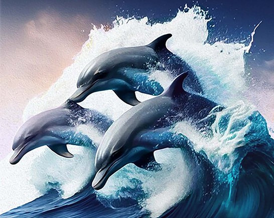 Изображение товара Картина по номерам Молли Дельфины в море 40x50 / FHR0570