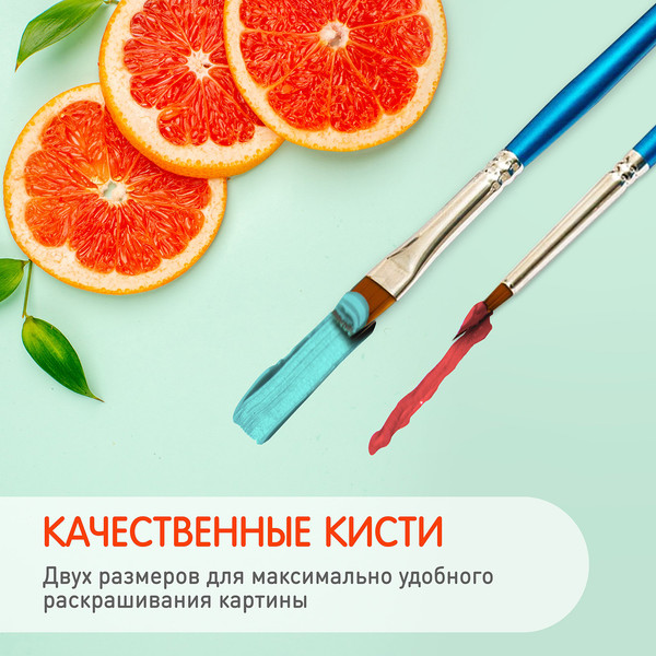 Изображение товара Картина по номерам Молли Черепаха на камнях 35x88 / HRP0175