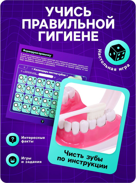 Изображение товара Научная игра Эврики Анатомия. Челюсть человека / 10726348