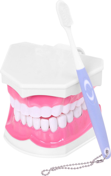 Изображение товара Научная игра Эврики Анатомия. Челюсть человека / 10726348