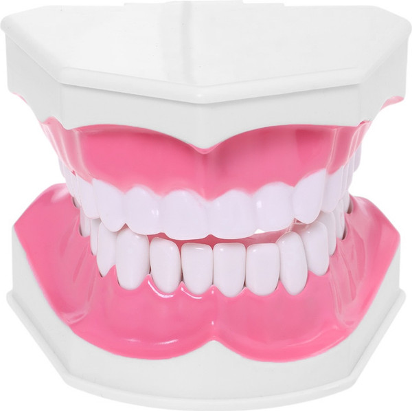 Изображение товара Научная игра Эврики Анатомия. Челюсть человека / 10726348