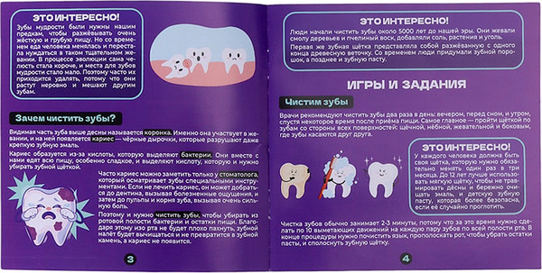 Изображение товара Научная игра Эврики Анатомия. Челюсть человека / 10726348