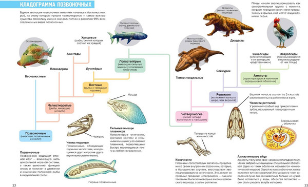 Изображение товара Энциклопедия Эксмо Доисторические первопроходцы. Выпуск 2, твердая обложка (Redcode, Albbie)