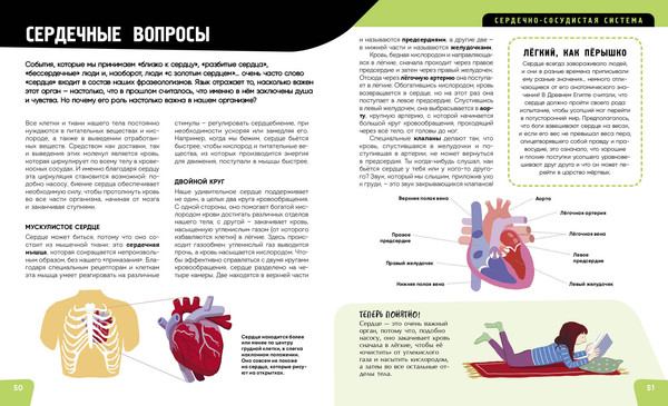 Изображение товара Энциклопедия Эксмо Тело человека. Самая анатомическая энциклопедия, твердая обложка (Романо Анна)