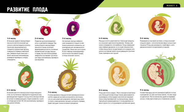 Изображение товара Энциклопедия Эксмо Тело человека. Самая анатомическая энциклопедия, твердая обложка (Романо Анна)
