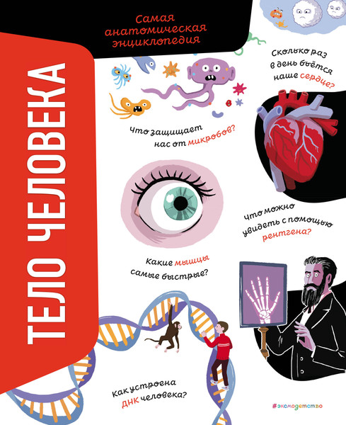 Изображение товара Энциклопедия Эксмо Тело человека. Самая анатомическая энциклопедия, твердая обложка (Романо Анна)