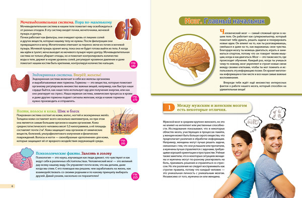 Изображение товара Энциклопедия Эксмо Человек! 365 вещей, которые нужно знать про наше тело