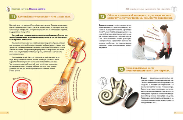 Изображение товара Энциклопедия Эксмо Человек! 365 вещей, которые нужно знать про наше тело