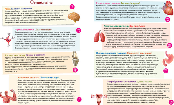Изображение товара Энциклопедия Эксмо Человек! 365 вещей, которые нужно знать про наше тело