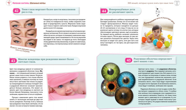 Изображение товара Энциклопедия Эксмо Человек! 365 вещей, которые нужно знать про наше тело