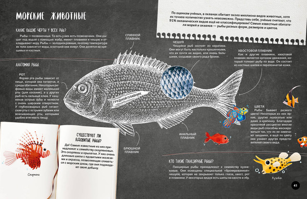 Изображение товара Энциклопедия Эксмо Что? Как? Почему? Мои первые знания про моря и океаны