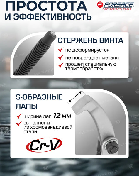 Изображение товара Съемник Forsage 59 896 / F-A6590603