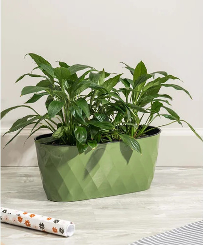 Изображение товара Вазон Idi Land Laurel 221611118/01 (зеленый)
